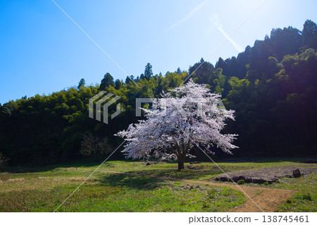 春日里的一丈谷朝倉藩遺址和西山興聖寺遺址 春日里的一丈谷朝倉藩遺址和西山興聖寺遺址 138745461