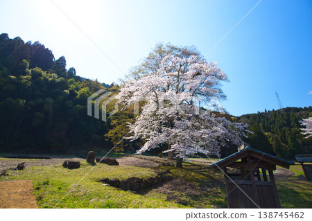 春日里的一丈谷朝倉藩遺址和西山興聖寺遺址 春日里的一丈谷朝倉藩遺址和西山興聖寺遺址 138745462