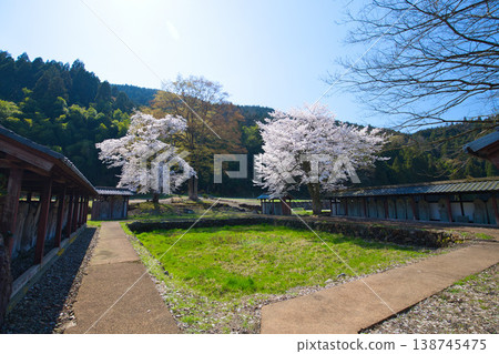 Springtime at the Ichijōdani Asakura Clan Ruins and Nishiyama Kōshōji Temple Site Springtime at the Ichijōdani Asakura Clan Ruins and Nishiyama Kōshōji Temple Site 138745475