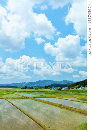 Akita Prefecture: Paddy field landscape with blue sky and white clouds Akita Prefecture: Paddy field landscape with blue sky and white clouds 138745694