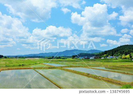 秋田縣：藍天白雲的稻田景觀 138745695