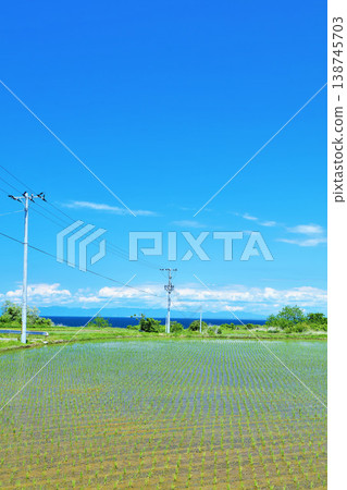 Akita Prefecture, Oga Peninsula under a blue sky, beautiful rice paddy scenery Akita Prefecture, Oga Peninsula under a blue sky, beautiful rice paddy scenery 138745703