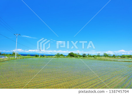Akita Prefecture, Oga Peninsula under a blue sky, beautiful rice paddy scenery Akita Prefecture, Oga Peninsula under a blue sky, beautiful rice paddy scenery 138745704