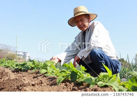 初夏家庭花園－老人 138745746