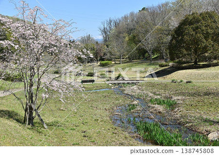 Toki City Toshi no Mori Seseragi Park 138745808