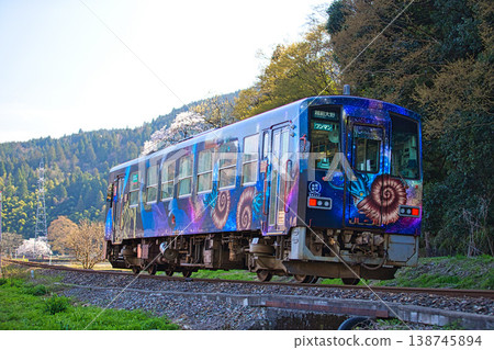 A local train running through cherry blossoms in bloom. A local train running through cherry blossoms in bloom. 138745894