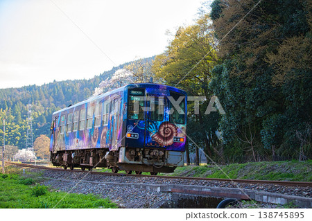 一列本地火車穿過盛開的櫻花樹。 一列本地火車穿過盛開的櫻花樹。 138745895
