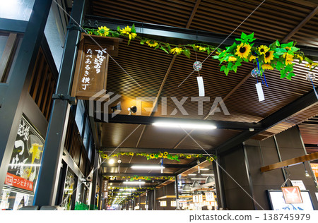 A stroll through the passageway of Gangidori and CoCoLo Yuzawa at JR Echigo-Yuzawa Station, Yuzawa Town, Minamiuonuma District, Niigata Prefecture. A stroll through the passageway of Gangidori and CoCoLo Yuzawa at JR Echigo-Yuzawa Station, Yuzawa Town, Minamiuonuma District, Niigata Prefecture. 138745979