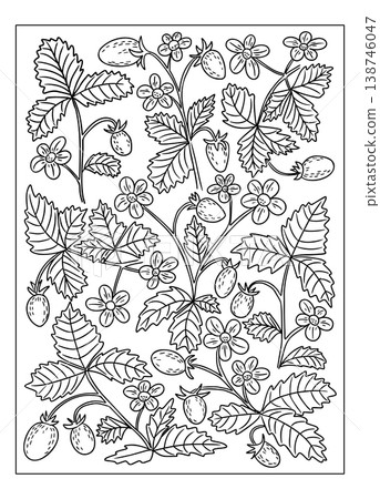 Black and white illustration of strawberry plants featuring leaves, flowers, and ripe strawberries arranged in a detailed botanical pattern for coloring or design use Black and white illustration of strawberry plants featuring leaves, flowers, and ripe strawberries arranged in a detailed botanical pattern for coloring or design use 138746047