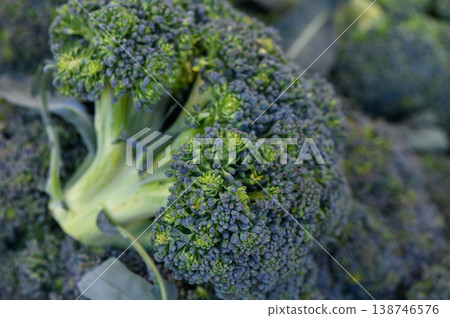 Freshly harvested broccoli ready for market at a vibrant farm on a bright sunny day Freshly harvested broccoli ready for market at a vibrant farm on a bright sunny day 138746576