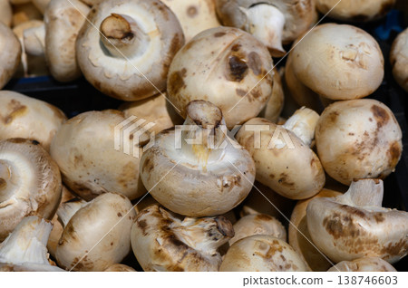 Freshly harvested mushrooms piled together in a market during early morning hours Freshly harvested mushrooms piled together in a market during early morning hours 138746603