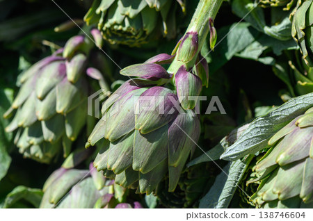 Freshly harvested artichokes glistening in the sunlight at a bustling farmers market in springtime 138746604