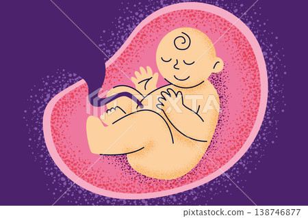 Healthy fetus inside the womb with an umbilical cord. Corporate Memphis style vector art showing embryonic development and prenatal life. Healthy fetus inside the womb with an umbilical cord. Corporate Memphis style vector art showing embryonic development and prenatal life. 138746877