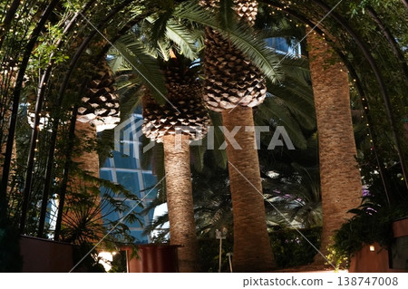 Palm Trees and Arches at Nighttime Palm Trees and Arches at Nighttime 138747008
