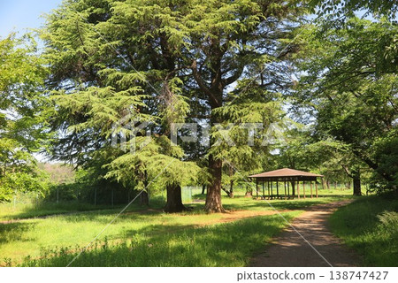 47 Sceneries and Landscapes of Sayama Lake and its Surroundings 47 Sceneries and Landscapes of Sayama Lake and its Surroundings 138747427