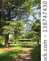 50 views and scenery of Sayama Lake and its surroundings 138747430