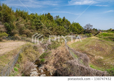 清澈的溪流潺潺流過稻田：滋賀縣大津市小木町天神川 138747432