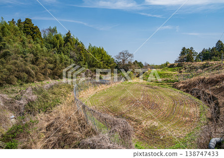 清澈的溪流潺潺流過稻田：滋賀縣大津市小木町天神川 138747433