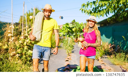 Couple harvesting fresh organic vegetables from home garden Couple harvesting fresh organic vegetables from home garden 138747635