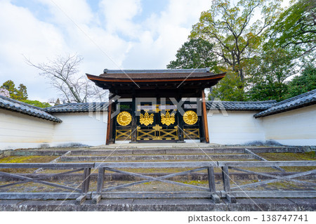 Kyoto: Daigo-ji Temple and cherry blossom scenery Kyoto: Daigo-ji Temple and cherry blossom scenery 138747741