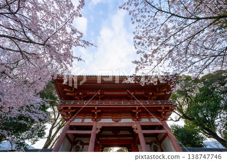 京都:醍醐寺和櫻花景色 京都:醍醐寺和櫻花景色 138747746