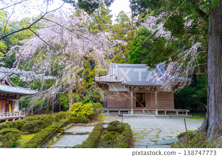 京都:醍醐寺和櫻花景色 京都:醍醐寺和櫻花景色 138747773