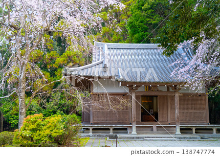 京都：醍醐寺和櫻花景色 138747774