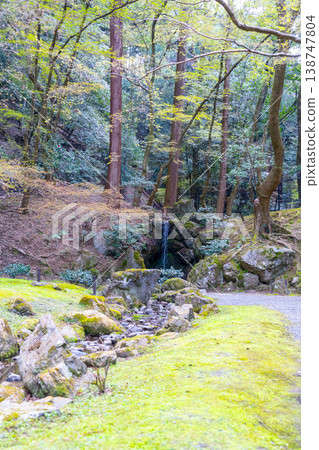 Kyoto: Daigo-ji Temple and cherry blossom scenery 138747804