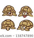 Egyptian tortoise Egyptian tortoise 138747890