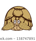 Egyptian tortoise Egyptian tortoise 138747891