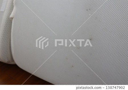 Mold is growing under the mattress, causing discoloration. Mold prevention and humidity control. 138747902