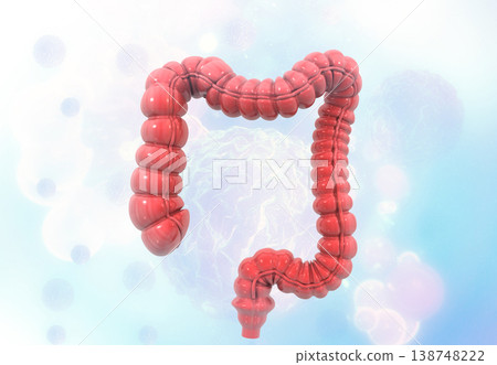 Human colon anatomy on medical background 138748222