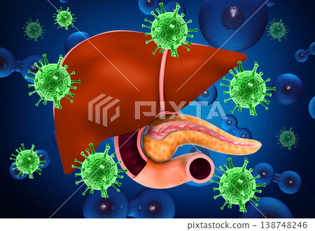 Human liver with hepatitis viruses Human liver with hepatitis viruses 138748246