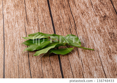 Fresh green laurel leves for cooking Fresh green laurel leves for cooking 138748433