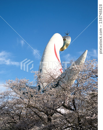 春季博覽園 138748828