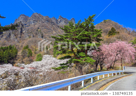 Cherry blossoms and rocky mountains against a blue sky Cherry blossoms and rocky mountains against a blue sky 138749135