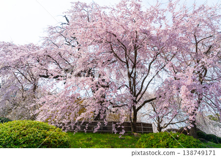 Scenery of Kyoto City in 2026 Scenery of Kyoto City in 2026 138749171