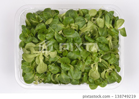 Fresh Corn Salad in Plastic Container Fresh Corn Salad in Plastic Container 138749219