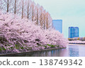 櫻花盛開的大阪城公園 138749342