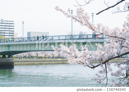 櫻花、橋樑和河流 櫻花、橋樑和河流 138749345