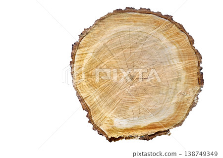 Close up of a wooden stump isolated on white 138749349