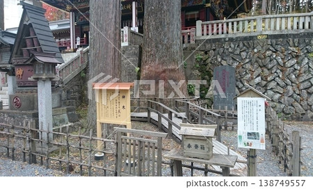 埼玉縣秩父市！三峰神社的神樹 138749557