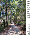 Cedar Forest Walking Trail 138749733