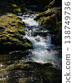 Mossy Mountain Stream 138749736