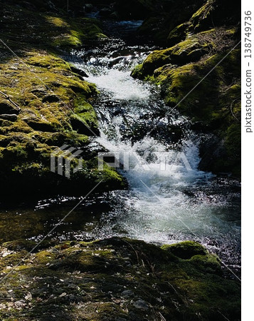 Mossy Mountain Stream 138749736