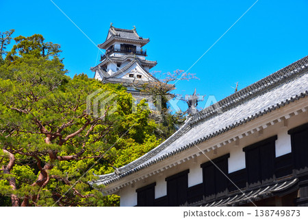 Kochi Castle, Main Tower, Otemon Gate 138749873