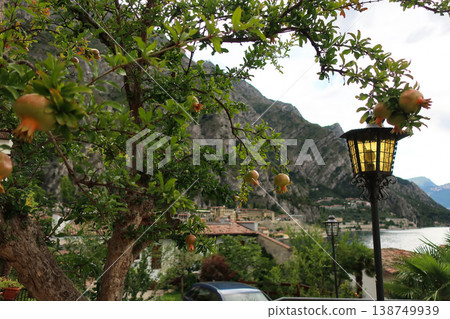 Landscape view of pomegranate tree in front of a mountainous village near water Landscape view of pomegranate tree in front of a mountainous village near water 138749939