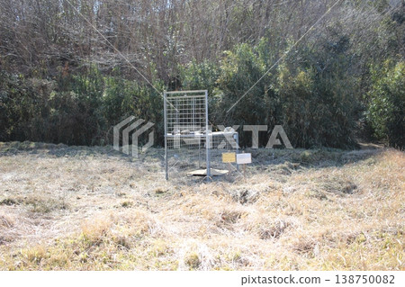 Box trap, trap, snare trap, capture trap 138750082
