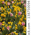 State-run Sanuki manpoku park 138750094