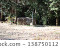Box trap, trap, snare trap, capture trap 138750112